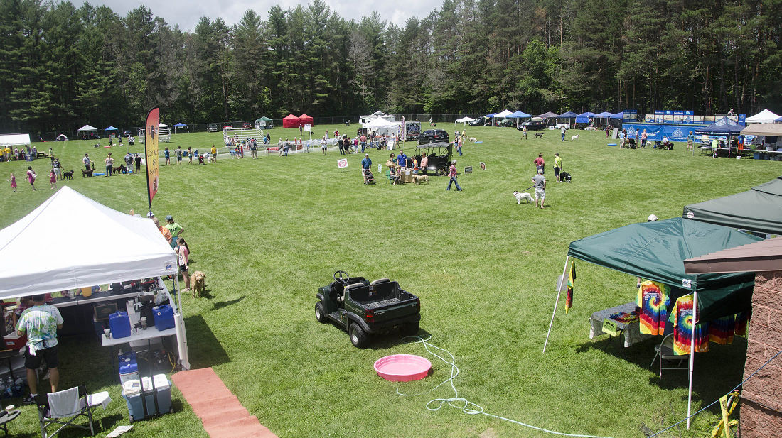 062215-nws-woofstock18.jpg
